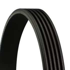   Hosszbordás szíj - 5 bordás, 975 mm - (5PK 975/SCT 5R363) (Alfa Romeo, BMW, Citroen, Daewoo, Daihatsu, Fiat, Jaguar, Lancia, Mazda, Opel, Toyota)