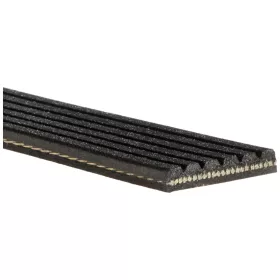   Hosszbordás szíj – 6 bordás, 1203 mm – GATES 6PK1203 (Cadillac, Citroen, Dacia, Daihatsu, Fiat, Ford, Kia, Lancia, Land Rover, Mitsubishi, Nissan, Peugeot, Volvo)